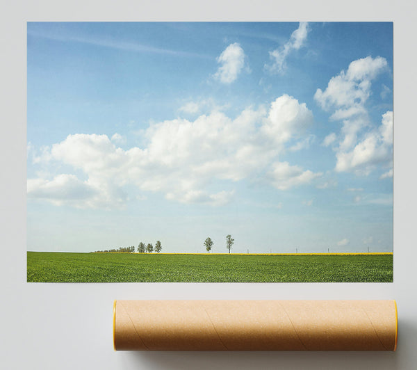Green Field And Blue Sky Poster