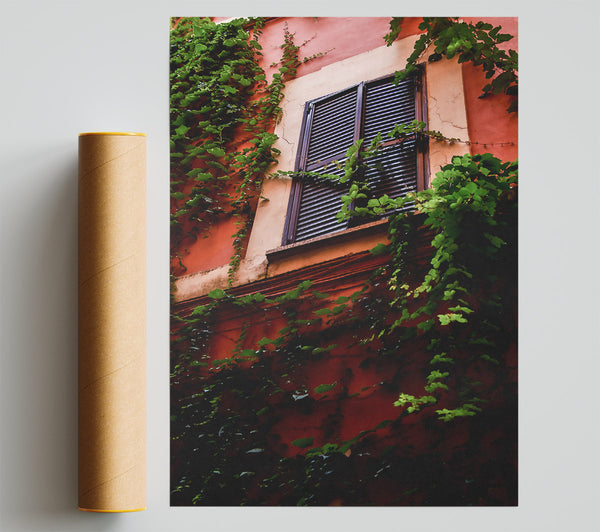 Red Wall Ivy Print
