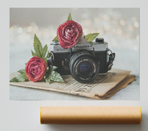 Pink Bloom And Lens Giclee Print