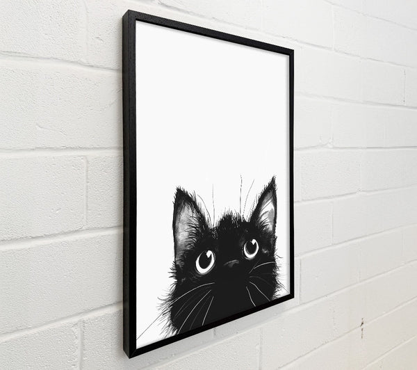 Black Cat Looking Up