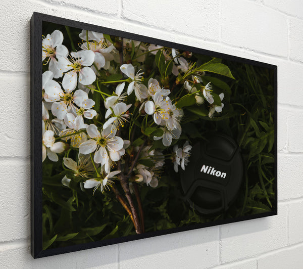 White Blossoms And Black Lens