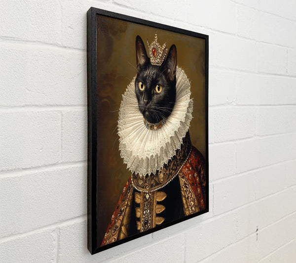 Black Cat Princess