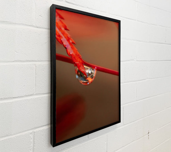 Crimson Drop Reflection
