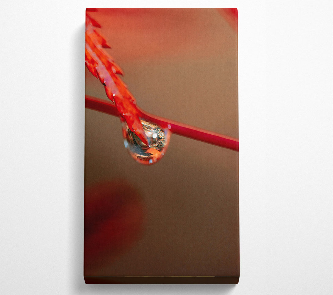  A Canvas Print of Crimson Drop Reflection Canvas Print
