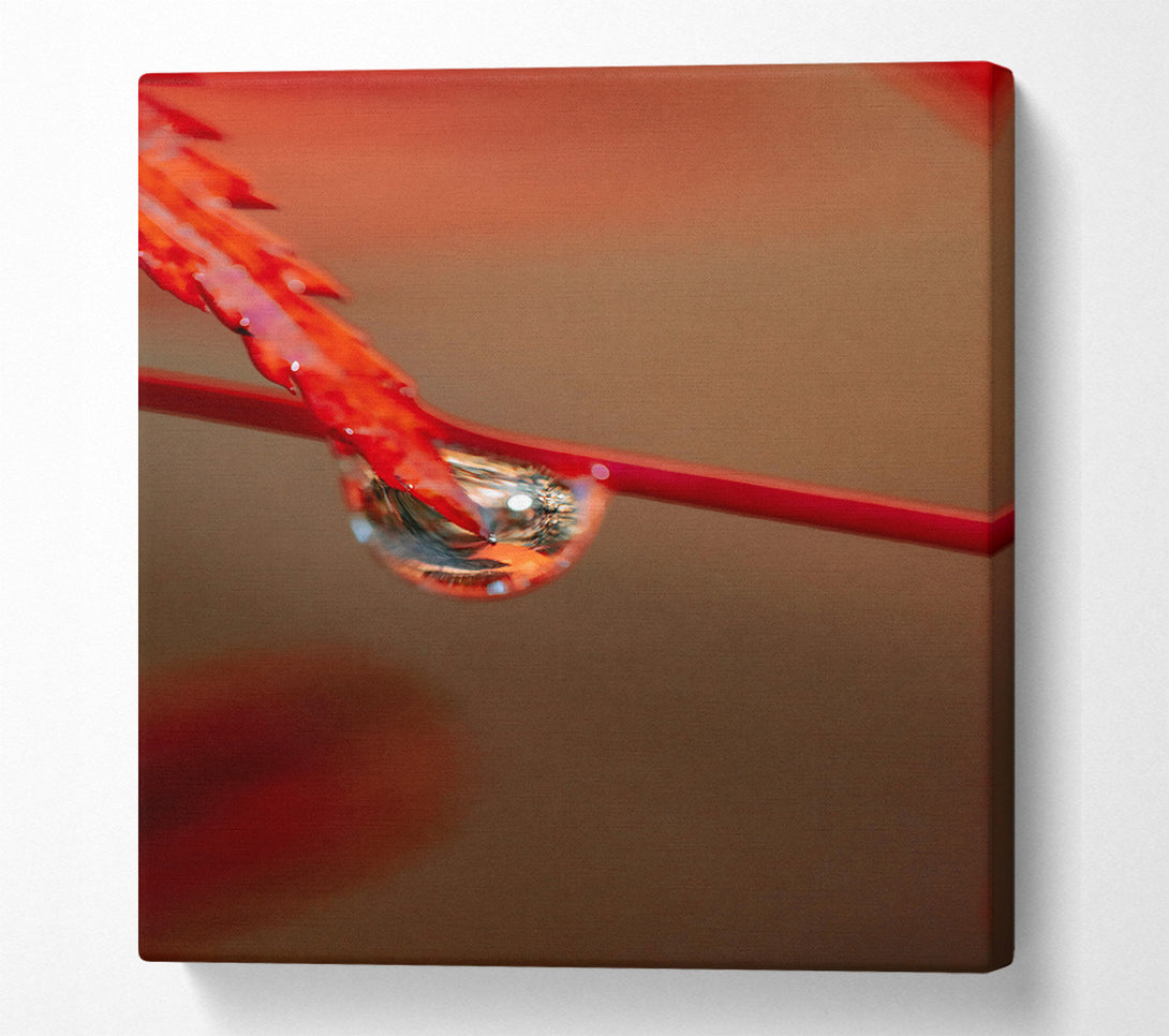  A Canvas Print of Crimson Drop Reflection Canvas Print