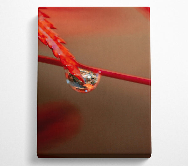  A Canvas Print of Crimson Drop Reflection Canvas Print