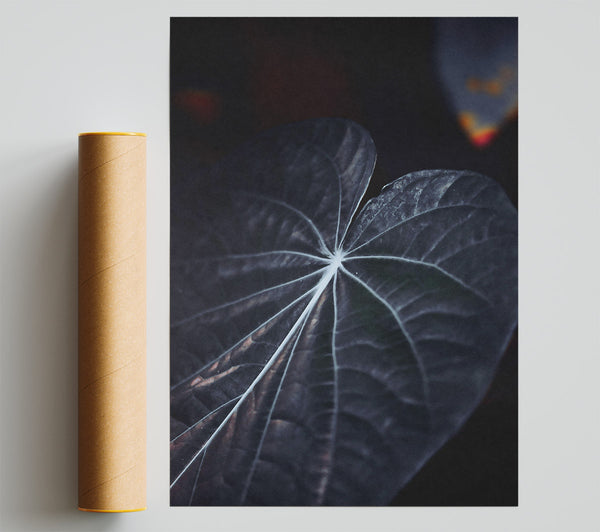 Dark Veined Leaf Giclee Print
