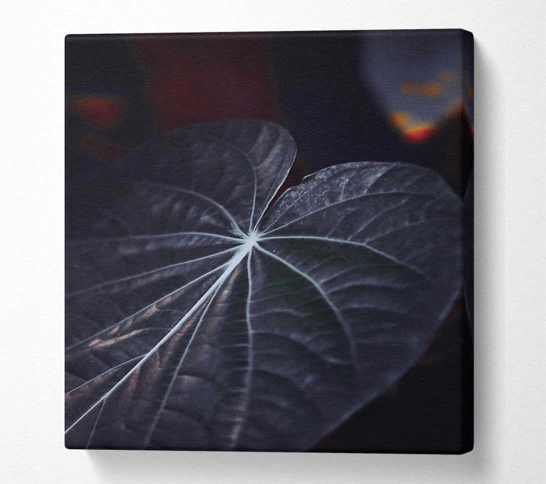  A Canvas Print of Dark Veined Leaf Canvas Print