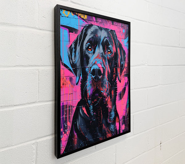 Black Dog Graffiti