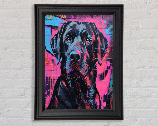 Black Dog Graffiti Framed Print