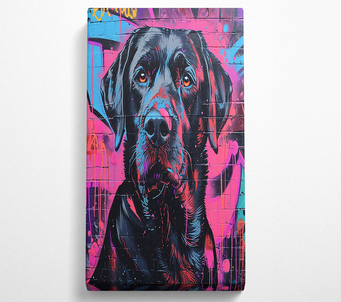  A Canvas Print of Black Dog Graffiti Canvas Print