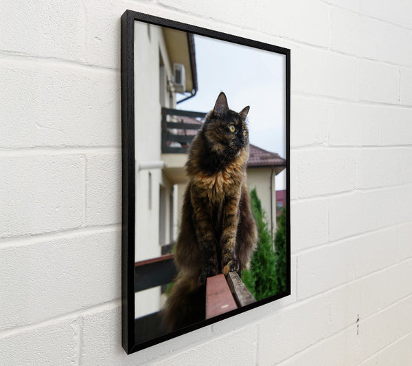 Tortoiseshell Cat On Railing