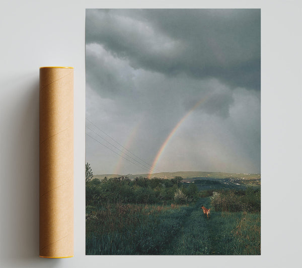 Green Field Rainbow Poster