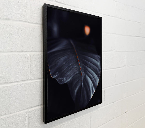 The Darkest Leaf