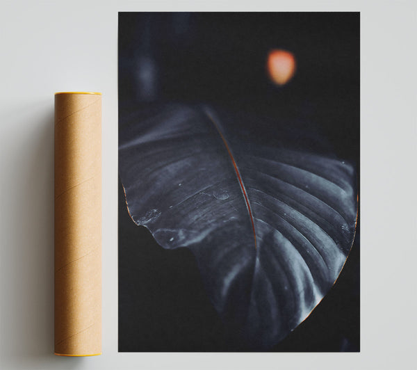 The Darkest Leaf Poster
