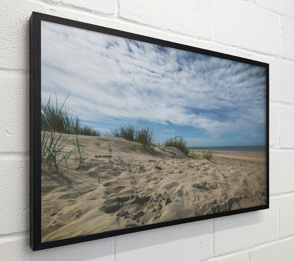 Golden Sand Dunes