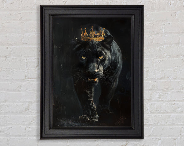 Black Jaguar King Framed Print