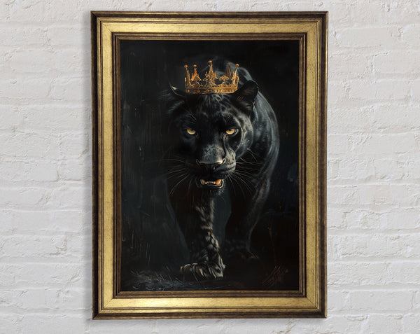 White Jaguar King Framed Print