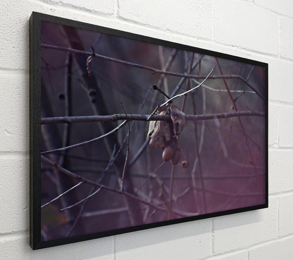 Purple Branch Whisperings