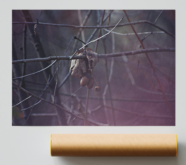Purple Branch Whisperings Giclee Print