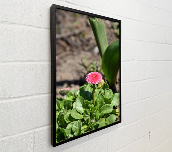 Pink Bloom In Green