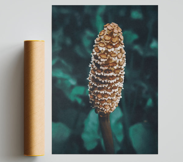 Teal And Brown Bloom Print