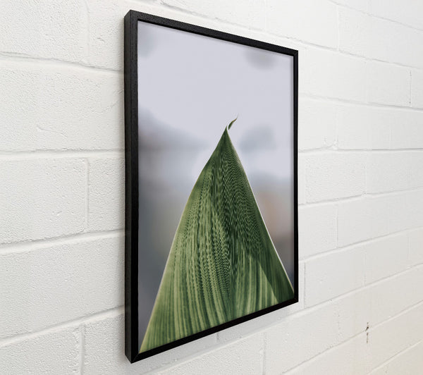 Emerald Leaf Curve