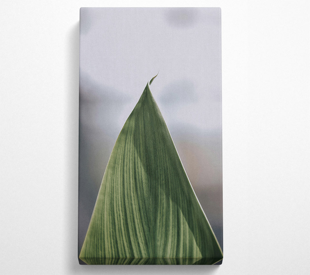  A Canvas Print of Emerald Leaf Curve Canvas Wall Art