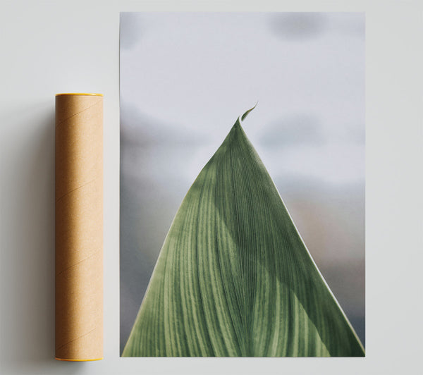 Emerald Leaf Curve Giclee Print