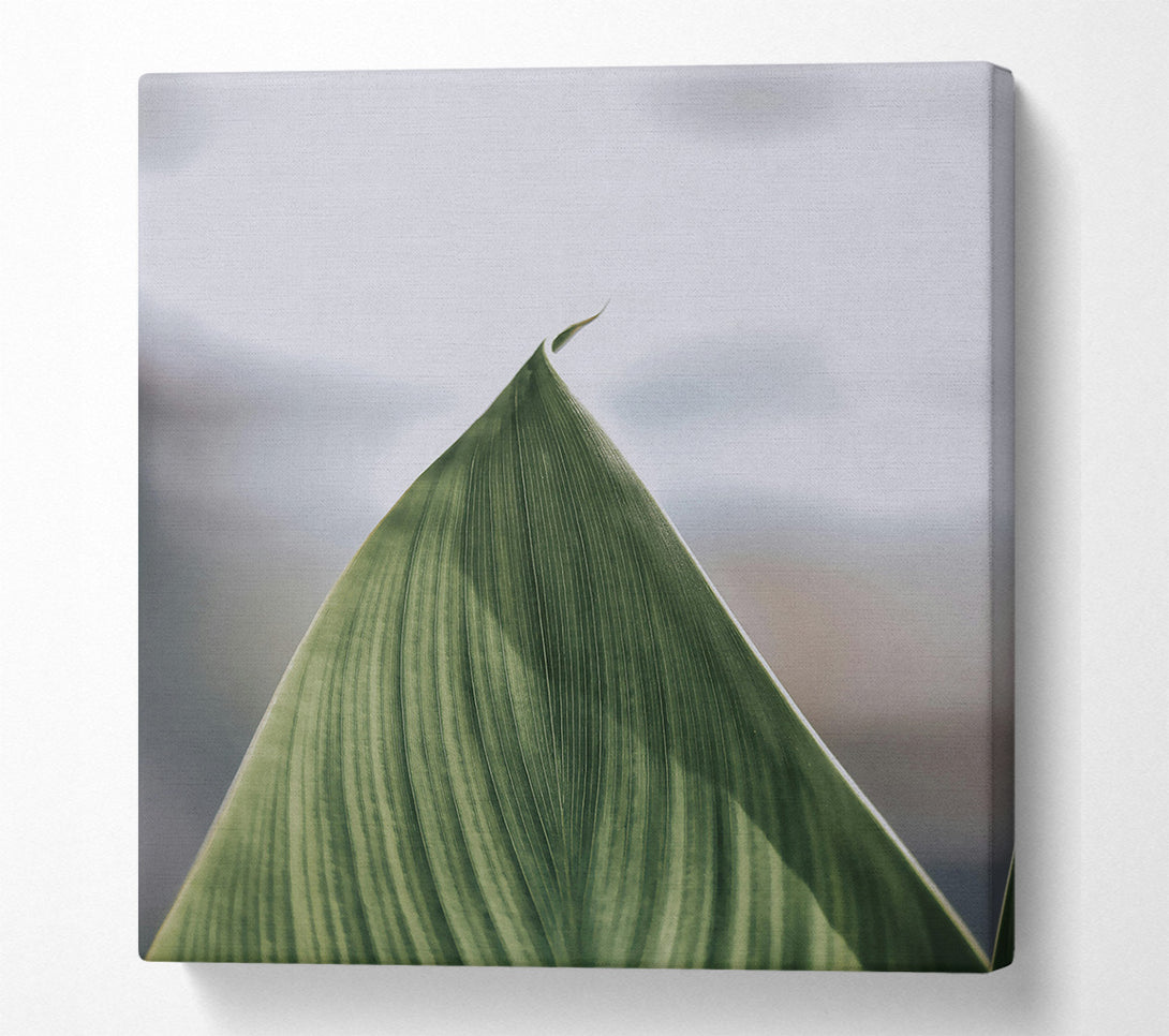  A Canvas Print of Emerald Leaf Curve Canvas Wall Art