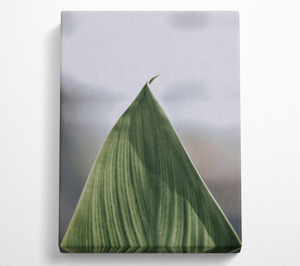  A Canvas Print of Emerald Leaf Curve Canvas Wall Art