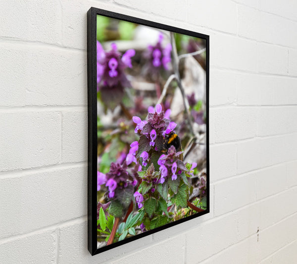 Purple Bumble Bloom