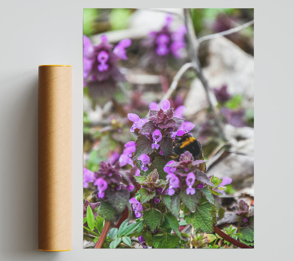 Purple Bumble Bloom Poster