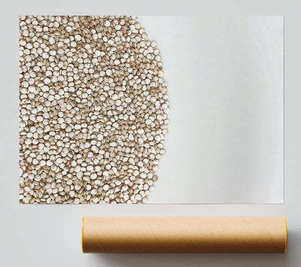 White Quinoa Burst Print