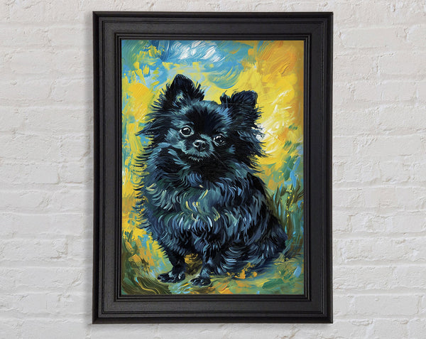 Black Pomeranian Framed Print