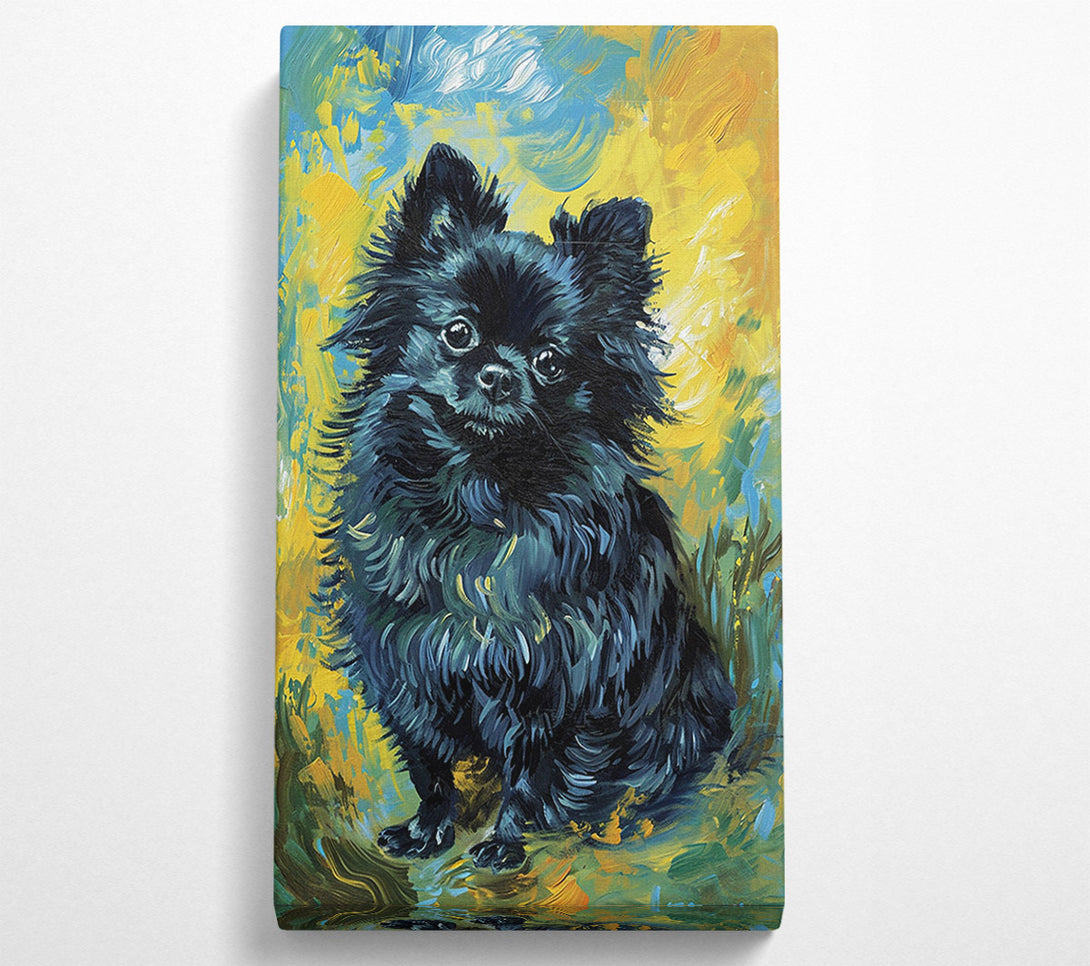  A Canvas Print of Black Pomeranian Canvas Wall Art