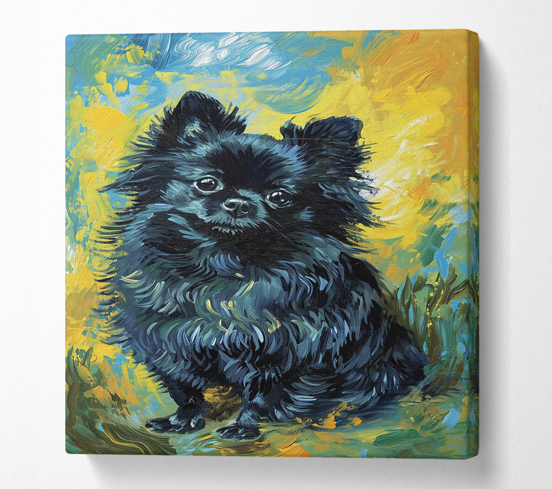  A Canvas Print of Black Pomeranian Canvas Wall Art