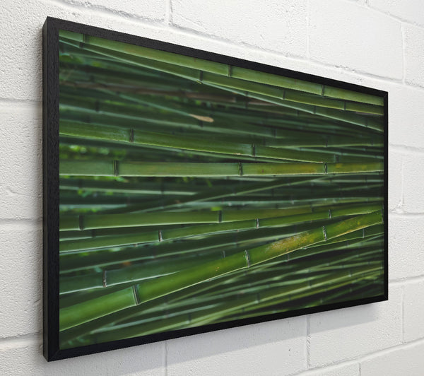Emerald Bamboo Forest