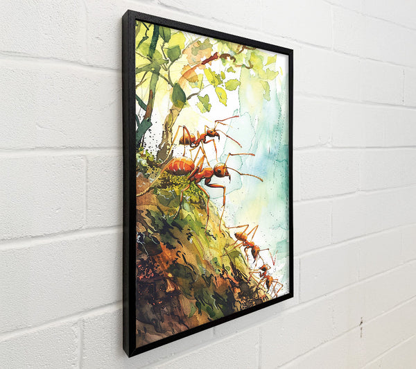 Green And Orange Ants