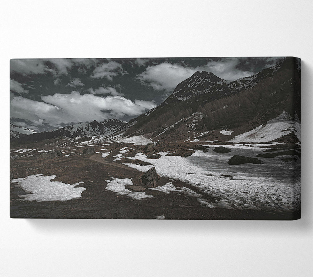  A Canvas Print of White Patches On Brown Canvas Wall Art
