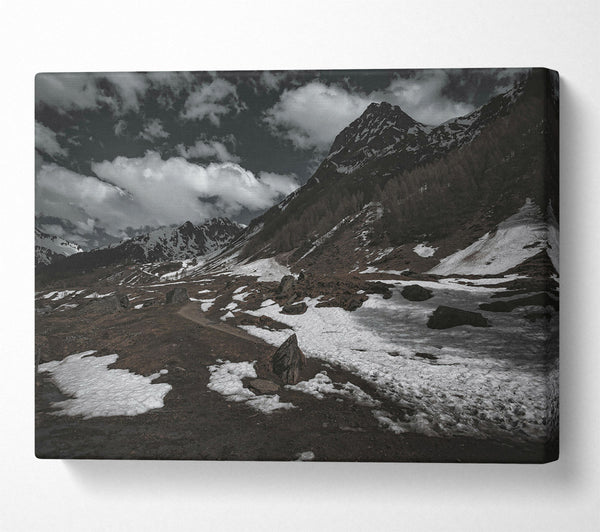  A Canvas Print of White Patches On Brown Canvas Wall Art