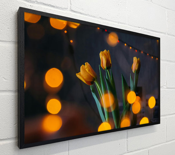 Golden Tulips Glow