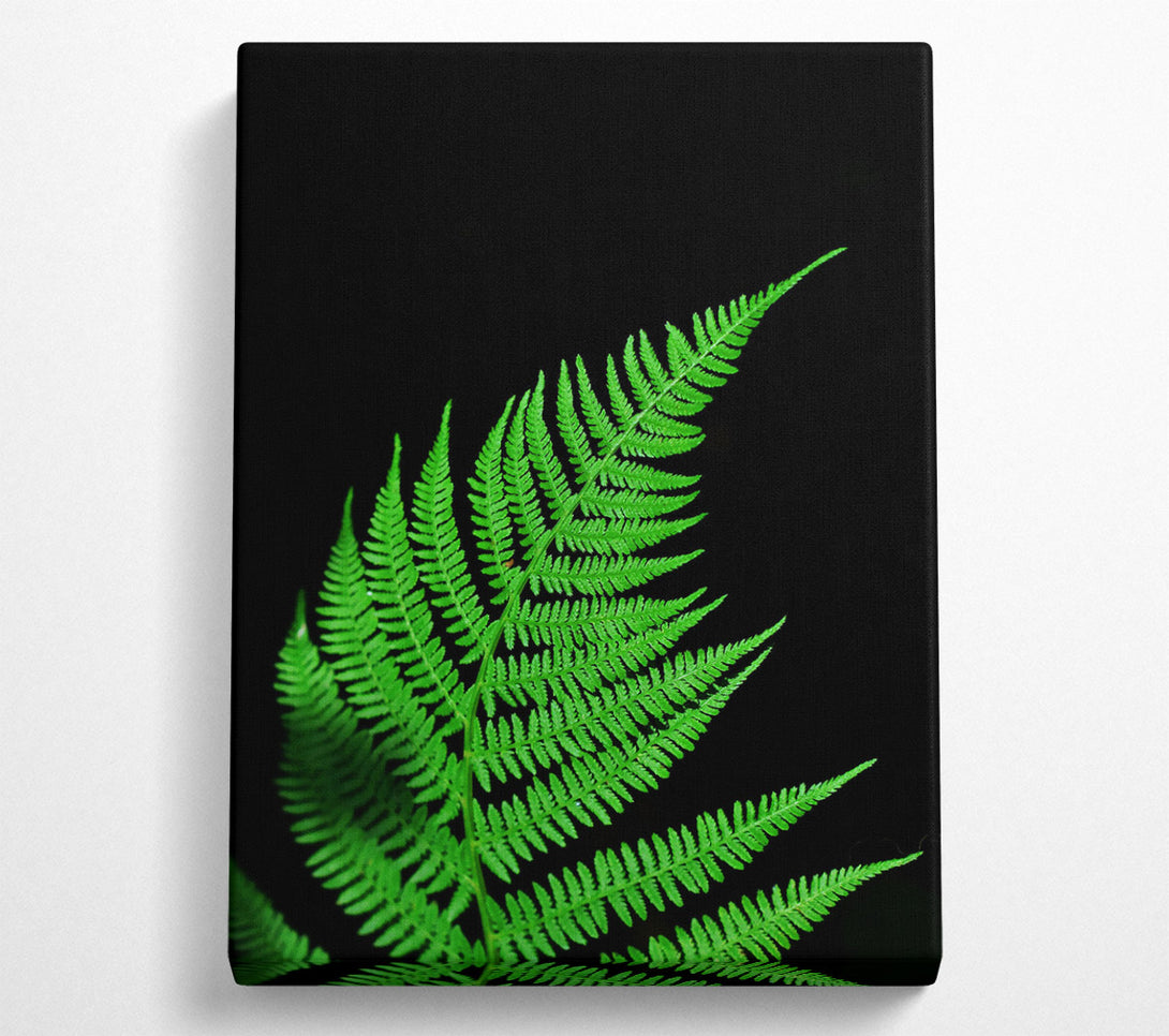  A Canvas Print of Emerald Fern Frond Canvas Wall Art