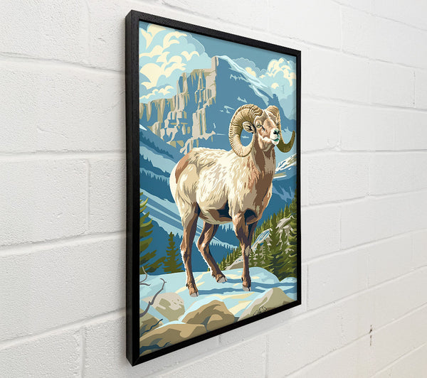 Blue Mountain Ram