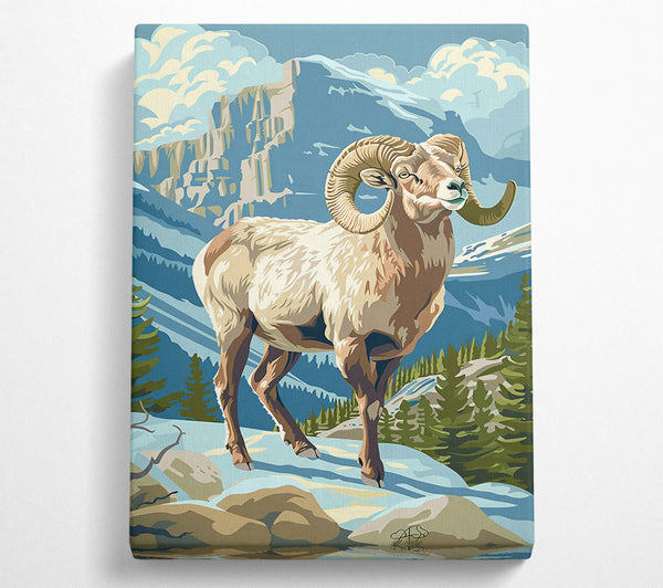  A Canvas Print of Blue Mountain Ram Canvas Art