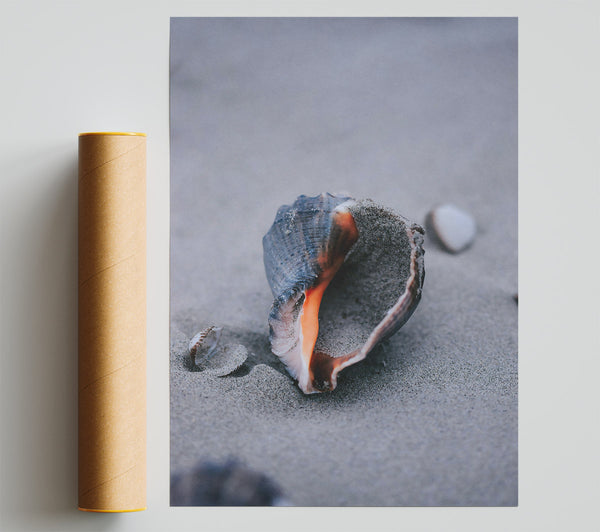 Orange Seashell On Sand Poster