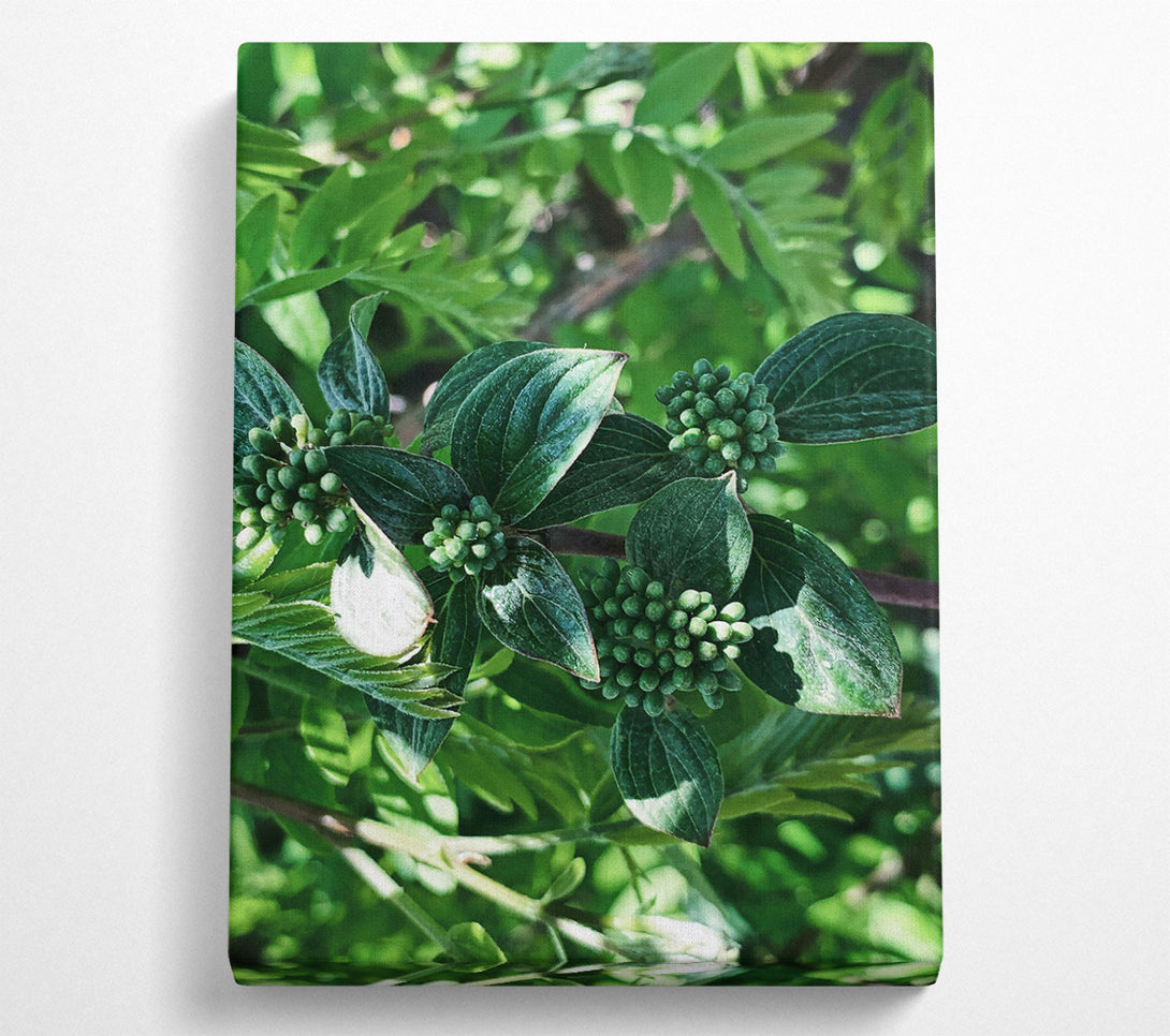  A Canvas Print of Emerald Green Bloom Canvas Wall Art