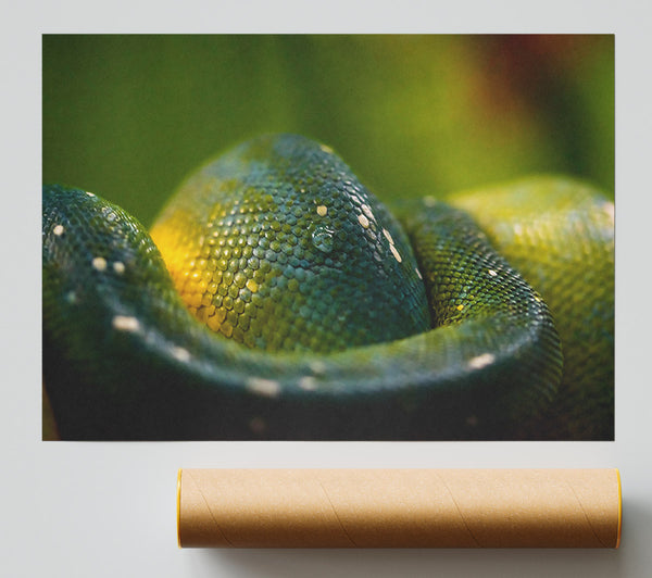 Emerald Green Scales Giclee Print