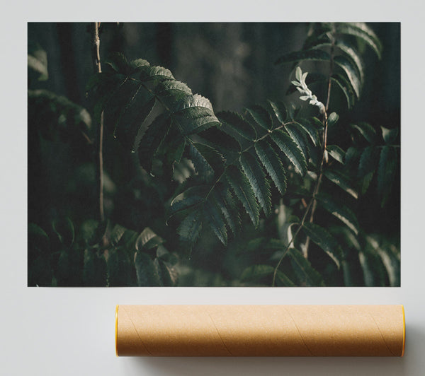 Emerald Leafy Shadows Poster