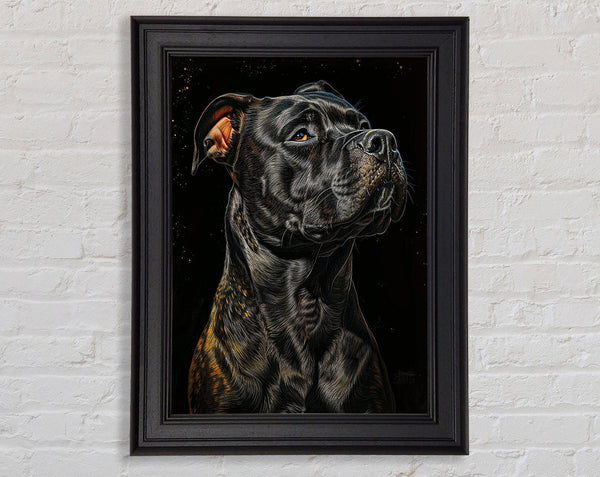 Black Staff Framed Print